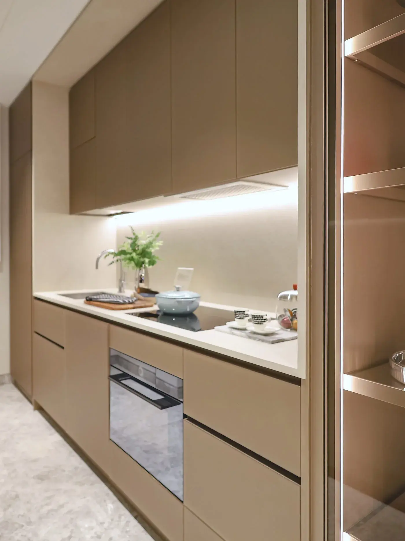 Designer kitchen with integrated appliances